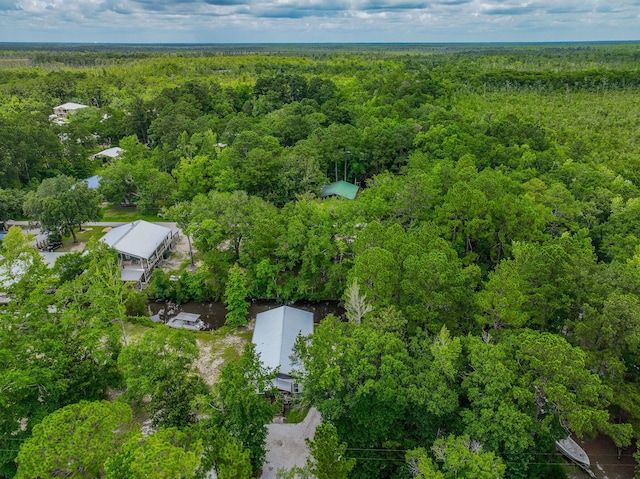 52 Lazy Bone St, Vernon, FL 32462 - view of property location with a forest