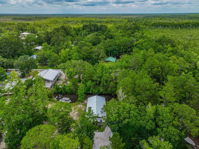 52 Lazy Bone St, Vernon, FL 32462 - aerial overview of property's location with a forest