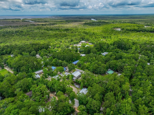52 Lazy Bone St, Vernon, FL 32462 - aerial view of property's location with a forest