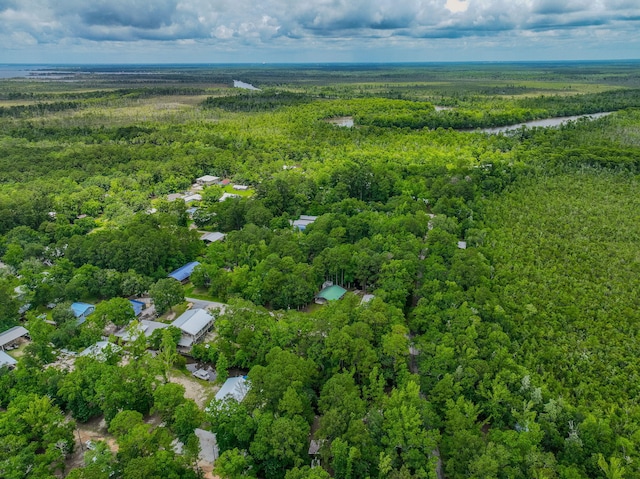 52 Lazy Bone St, Vernon, FL 32462 - view of property location with a forest and a large body of water