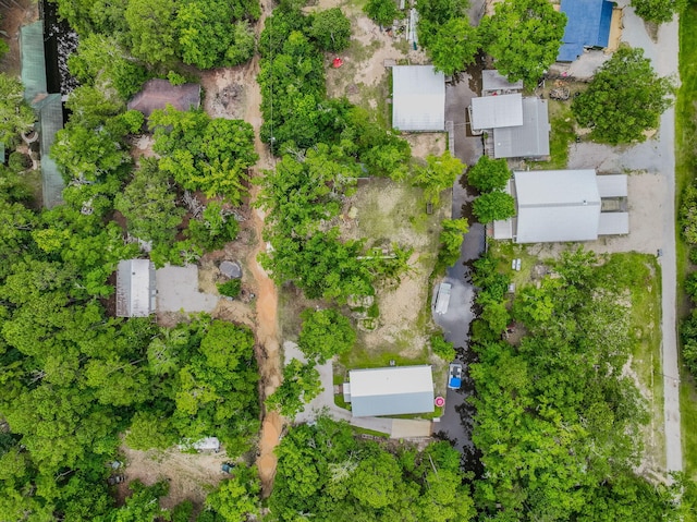52 Lazy Bone St, Vernon, FL 32462 - aerial view of property's location