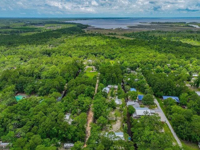 52 Lazy Bone St, Vernon, FL 32462 - aerial overview of property's location featuring a heavily wooded area