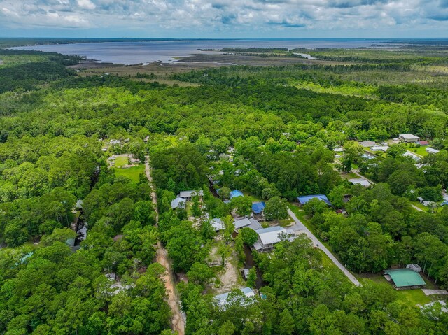 52 Lazy Bone St, Vernon, FL 32462 - aerial view of property's location with a heavily wooded area