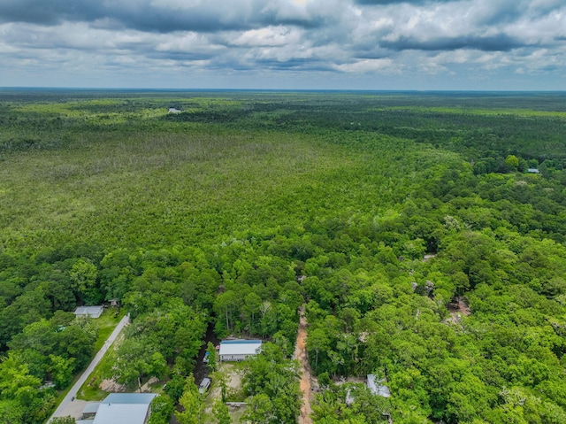 52 Lazy Bone St, Vernon, FL 32462 - aerial view of a heavily wooded area