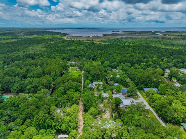 52 Lazy Bone St, Vernon, FL 32462 - aerial view of a forest