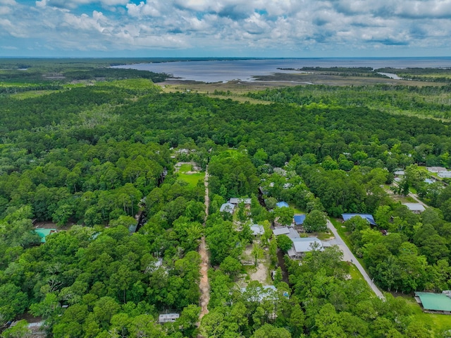 52 Lazy Bone St, Vernon, FL 32462 - bird's eye view of a heavily wooded area
