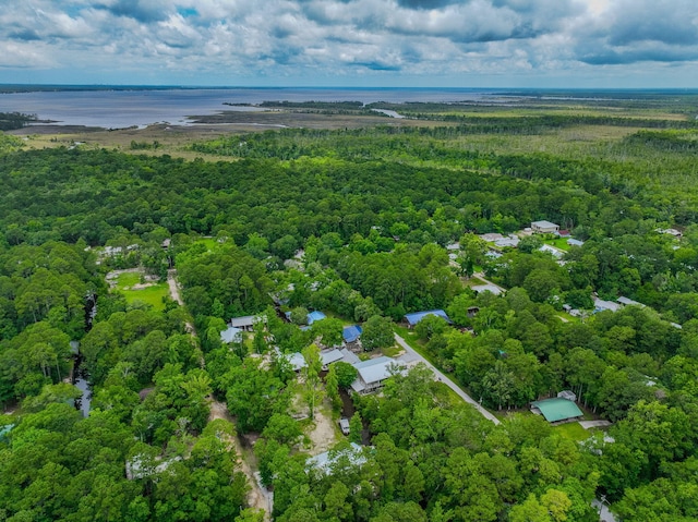 52 Lazy Bone St, Vernon, FL 32462 - aerial view of a heavily wooded area
