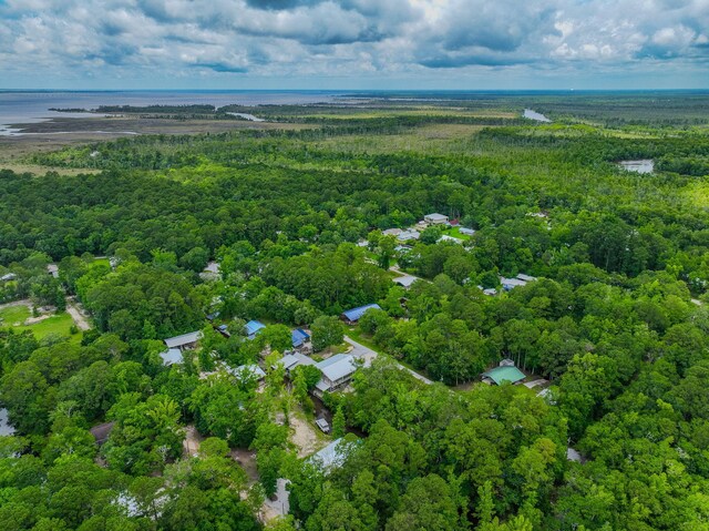 52 Lazy Bone St, Vernon, FL 32462 - drone / aerial view of a heavily wooded area and a large body of water