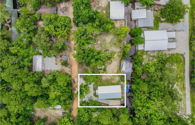 52 Lazy Bone St, Vernon, FL 32462 - aerial view of property and surrounding area featuring property boundaries highlighted