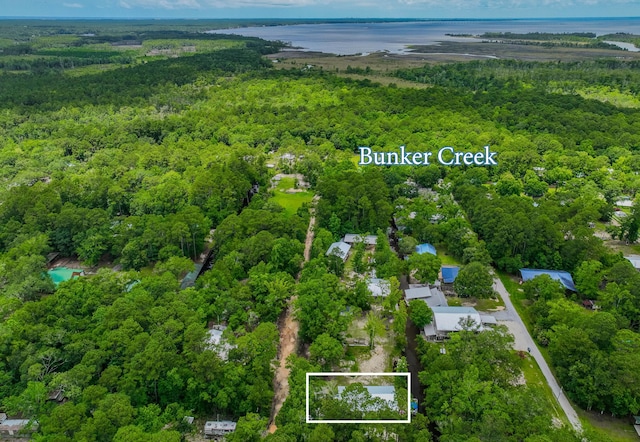 52 Lazy Bone St, Vernon, FL 32462 - aerial view of property's location featuring a heavily wooded area and property parcel outlined