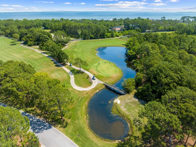 69 Cobalt Ln, Miramar Beach, FL 32550 - view of property location with a large body of water and a golf course