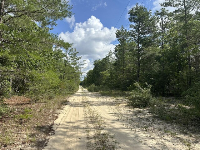 20AC/- Shot Gun Trl, Crestview, FL 32539
