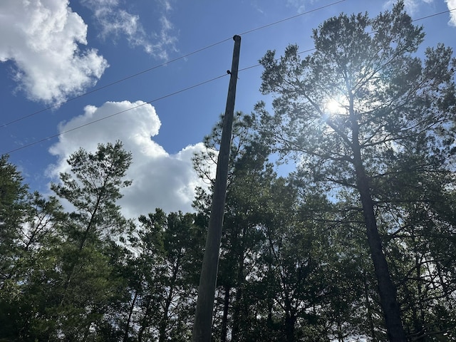 20AC/- Shot Gun Trl, Crestview, FL 32539
