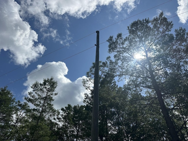 20AC/- Shot Gun Trl, Crestview, FL 32539