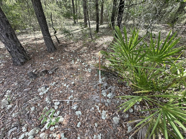 20AC/- Shot Gun Trl, Crestview, FL 32539