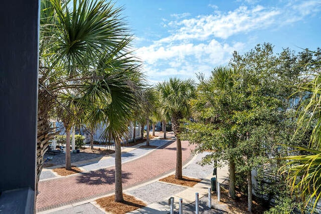 23 The Greenway Loop, Inlet Beach, FL 32461 - view of home's community