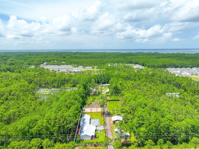 2672 Chat Holley Rd, Santa Rosa Beach, FL 32459 - aerial overview of property's location featuring a heavily wooded area and property boundaries highlighted