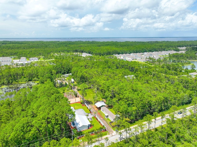 2672 Chat Holley Rd, Santa Rosa Beach, FL 32459 - bird's eye view of a forest and a large body of water