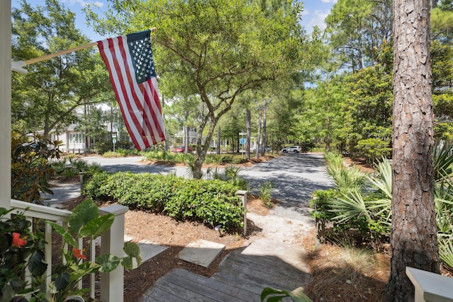 58 Pine Needle Way, Santa Rosa Beach, FL 32459 - surrounding community