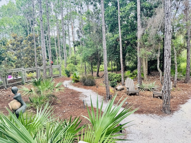 58 Pine Needle Way, Santa Rosa Beach, FL 32459 - view of yard