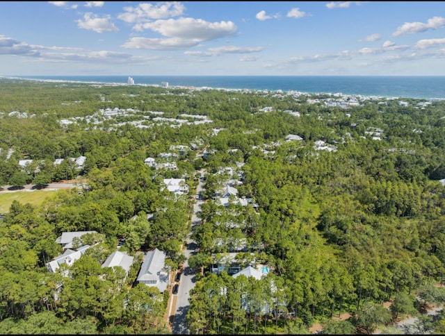 58 Pine Needle Way, Santa Rosa Beach, FL 32459 - aerial view of property and surrounding area featuring a heavily wooded area and a large body of water