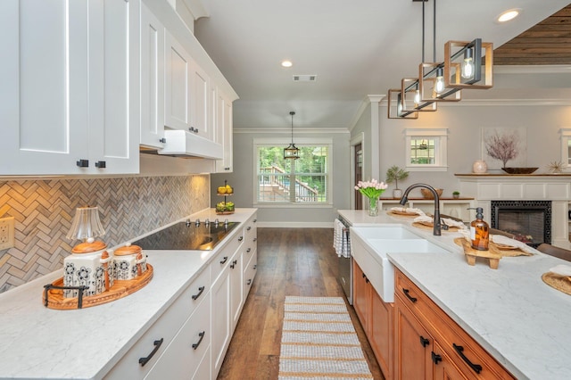 2580 Taylor Rd, Crestview, FL 32536 - kitchen with black electric stovetop, custom exhaust hood, ornamental molding, decorative backsplash, and white cabinets