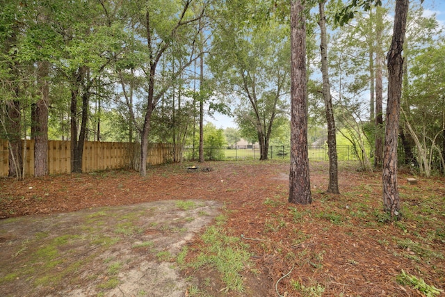 419 Symphony Way, Freeport, FL 32439 - view of yard