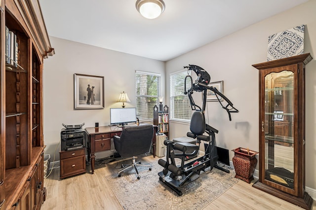 419 Symphony Way, Freeport, FL 32439 - home office featuring light wood finished floors and baseboards