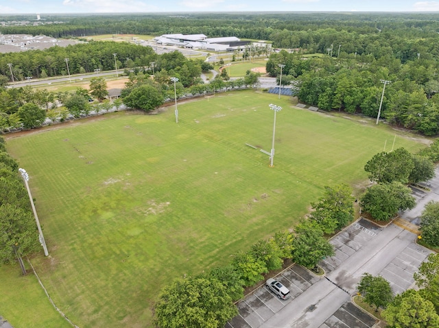 419 Symphony Way, Freeport, FL 32439 - aerial view of a forest