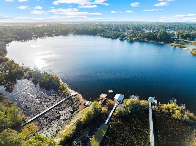 321 Timber Wind Dr, Defuniak Springs, FL 32433 - aerial view of a large body of water