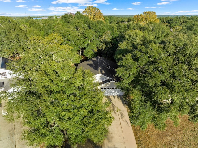 321 Timber Wind Dr, Defuniak Springs, FL 32433 - drone / aerial view of a forest