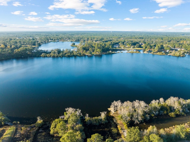 321 Timber Wind Dr, Defuniak Springs, FL 32433 - aerial view of property's location with a heavily wooded area and a nearby body of water