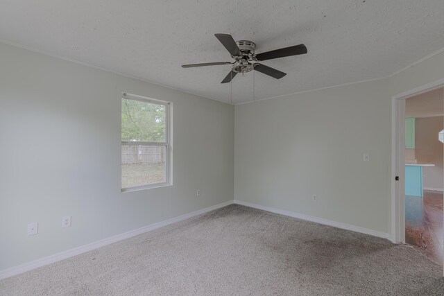 201 Chaseville St, Pensacola, FL 32507 - photo 17