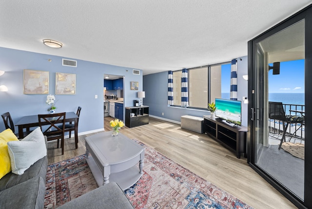 9850 S Thomas Dr Unit 1012W, Panama City, FL 32408 - living room with light wood finished floors and a textured ceiling