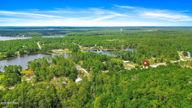 1069 Caswell Rd, Defuniak Springs, FL 32433 - view of property location featuring a forest and a nearby body of water