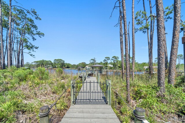 160 Grand Flora Way, Santa Rosa Beach, FL 32459 - photo 54