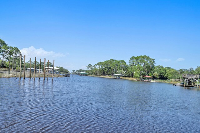 160 Grand Flora Way, Santa Rosa Beach, FL 32459 - photo 59