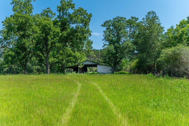 942 Varnum Rd, Laurel Hill, FL 32567 - view of yard