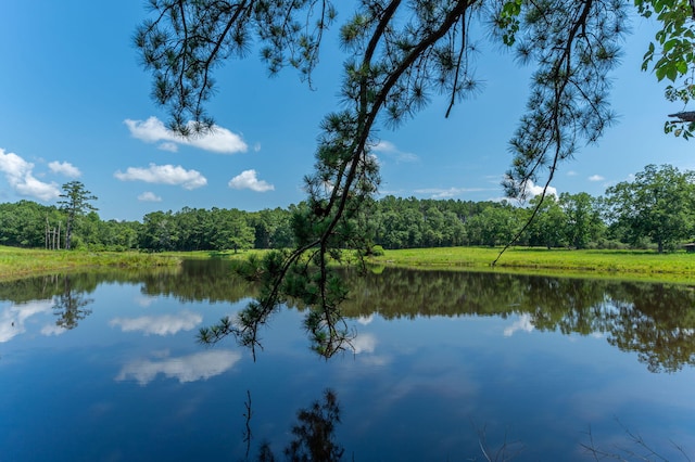 942 Varnum Rd, Laurel Hill, FL 32567 - water view with a forest