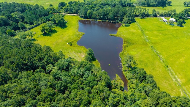 942 Varnum Rd, Laurel Hill, FL 32567 - overview of rural landscape featuring a large body of water