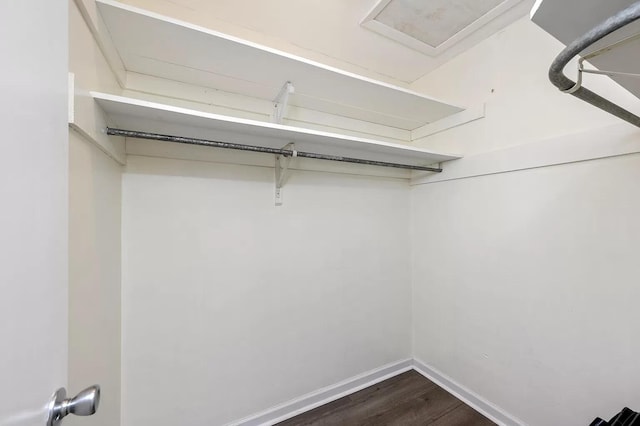 613 Colonial Dr Apt 5, Fort Walton Beach, FL 32547 - walk in closet featuring dark wood-type flooring