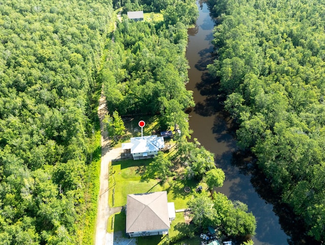 158 Johns Ln, Freeport, FL 32439 - aerial view of a large body of water and a forest