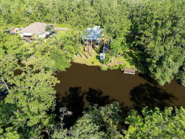 158 Johns Ln, Freeport, FL 32439 - bird's eye view of a large body of water and a heavily wooded area