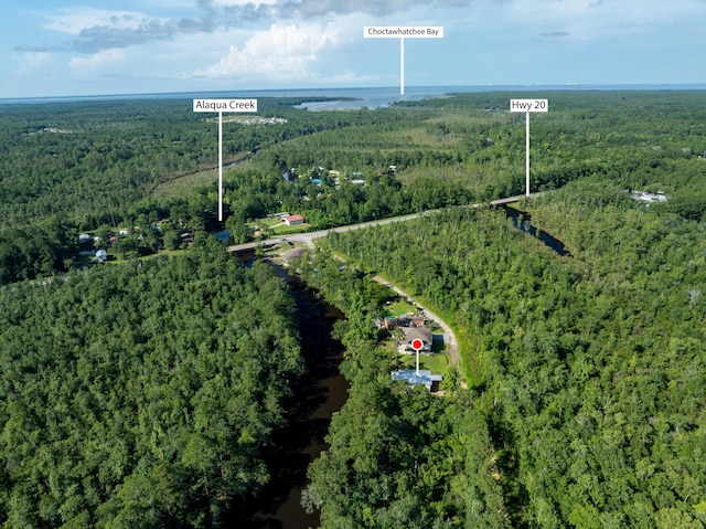 158 Johns Ln, Freeport, FL 32439 - aerial view of property's location featuring a forest