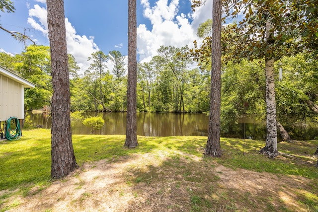 158 Johns Ln, Freeport, FL 32439 - view of grassy yard with a water view