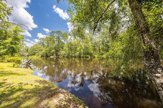 158 Johns Ln, Freeport, FL 32439 - water view featuring a forest