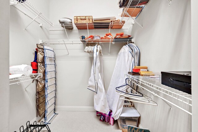 423 Maritime Ct, Destin, FL 32541 - view of walk in closet