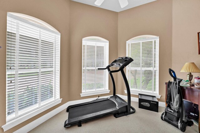 423 Maritime Ct, Destin, FL 32541 - workout area featuring carpet and ceiling fan