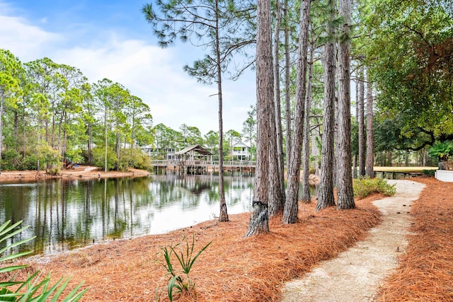 86 Lanier Ln, Santa Rosa Beach, FL 32459 - photo 1