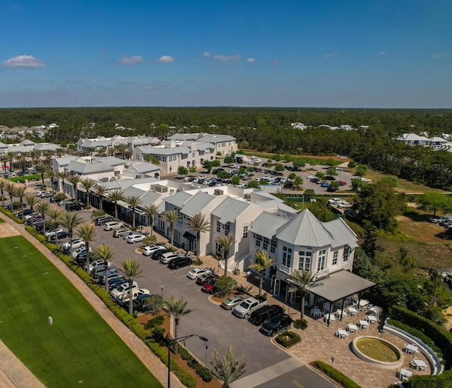 173 W Willow Mist Rd, Inlet Beach, FL 32461 - drone / aerial view